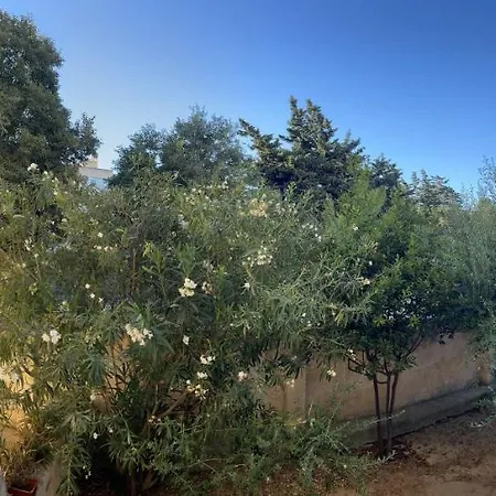 Apartment Roseda